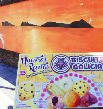 biscuits-galicia-cies